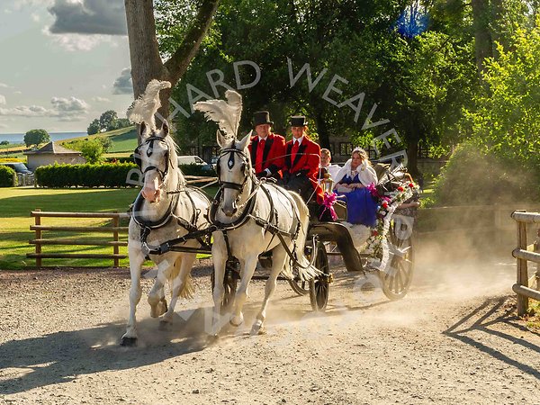 RWP_5773