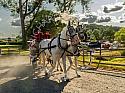 RWP_5774