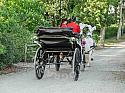 RWP_5786